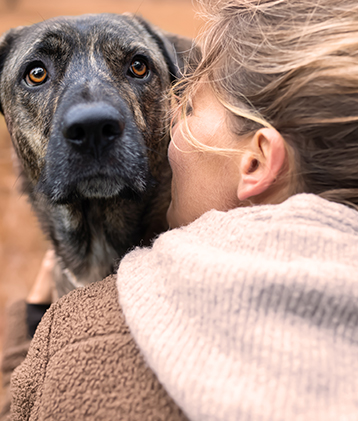 Hundezauber ganzheitliches Hundetraining